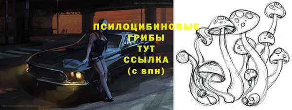 мдпв Вязники