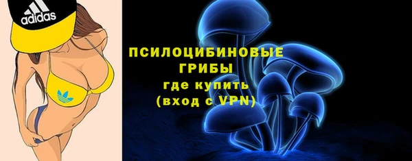 мдпв Вязники